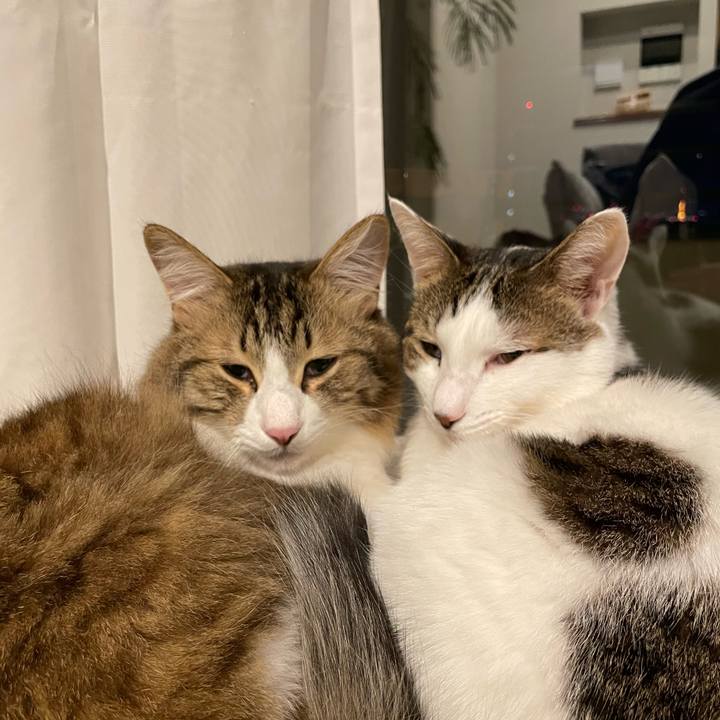 0f552766 9bb1 41c9 b826 ab0ca106d72b 1767336150685