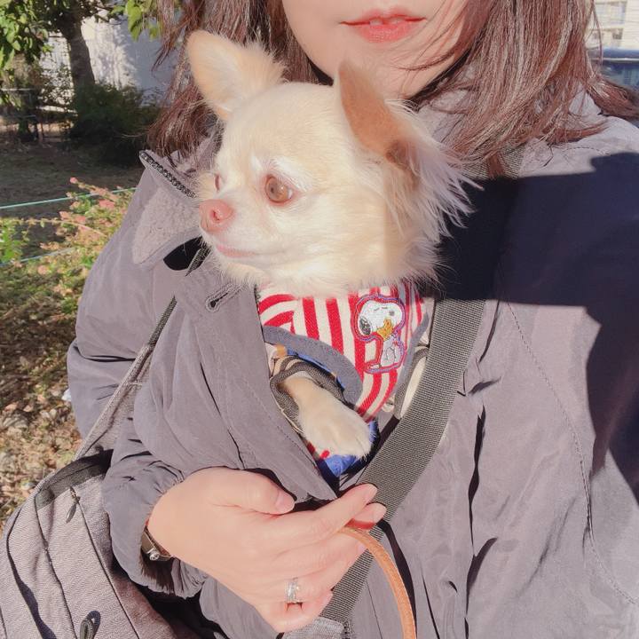 0f555529 136f 49e9 8e66 3cf331cf527c 1767684562002