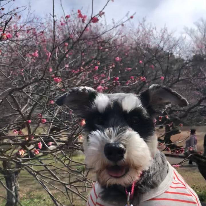 0f559436 8b55 4f25 8f6c 5406035a4b31 1708749873695