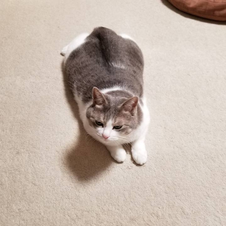 0f55c0ca 1677 4bff 9a33 6aa160b441ab 1633795166264