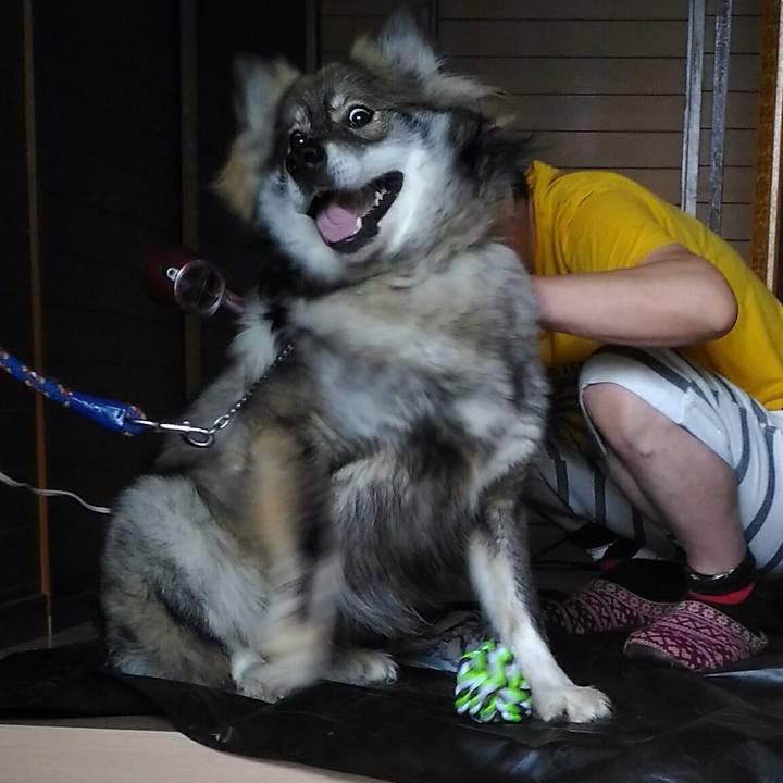 0f55d2f6 7f99 43d0 8648 c5d2042f0344 1528199408528