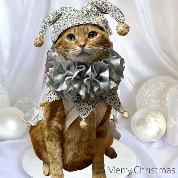 0f55e1f8 5755 4c07 b813 07fd403a111c 1670848843115