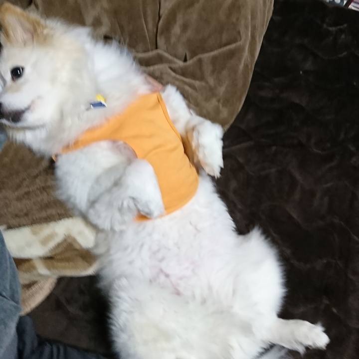 0f55ebd1 7e9b 442f bd58 dec7f3855dee 1525726061209