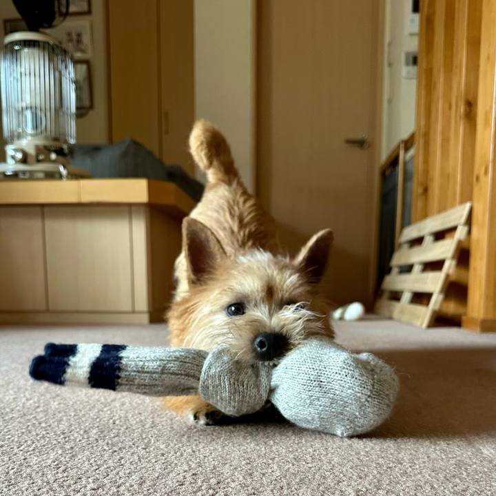 0f55f72b fd93 4550 acdf 1f5d61a2e23f 1712413036597