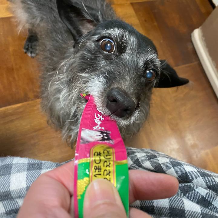 0f560cdb ae8a 4533 bc7e c30bd0bd0cf1 1644275700356