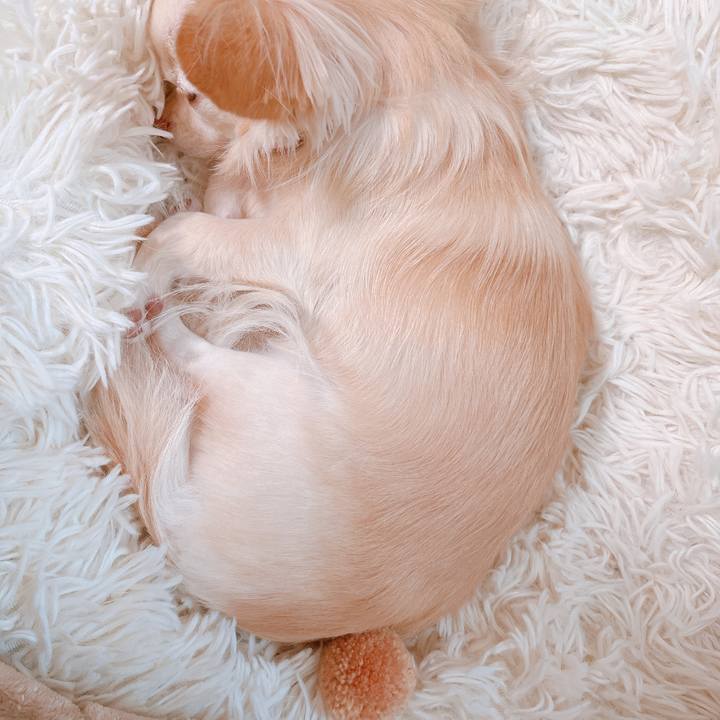 0f5610be 2728 4c78 a0f8 7382ee03a049 1665632348608