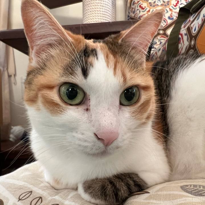 0f563497 9c1a 4295 b516 f97cd419cd65 1768516856375