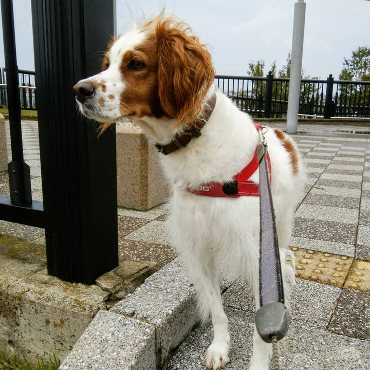 0f564b3a fa31 4edf a49f def4b920087d 1538643223339