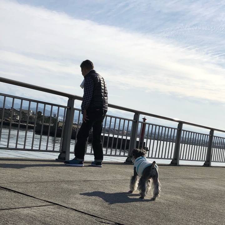 0f566e88 9410 4c01 9b42 60861412cce0 1641458844543