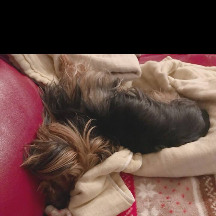 0f56844f 7545 452c 87d8 46d29a509b56 1532516726961