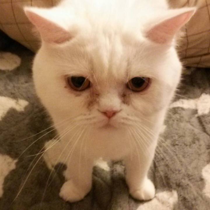 0f5738ed 9c31 4229 9966 27b5a2629d0b 1527770584071