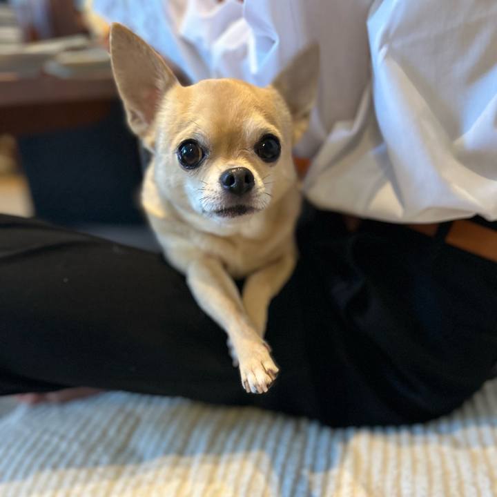 0f57415a 7d9e 4c67 b55b d3f8f229dc65 1714085850996