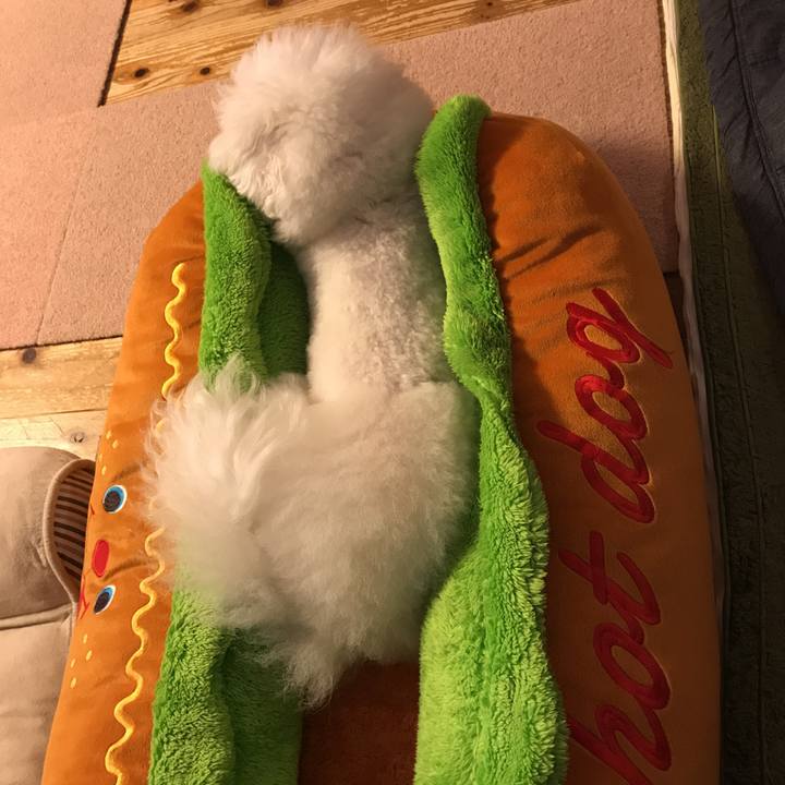 0f575468 c5f7 4d18 bfec 2f31913337d8 1527667710953