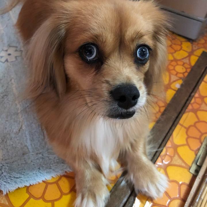 0f57572d 583c 4339 8f4d 1654bea4ca2d 1542497119286