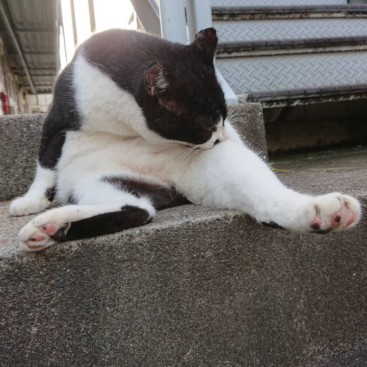 0f5764be 5c11 4f88 aa3d ee69dbeadbf9 1599119460299