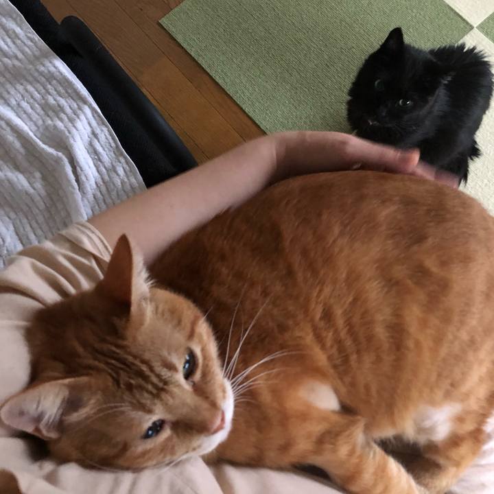 0f57a01d 5fa2 49fa 93b0 e30dced4b9d0 1632950356183