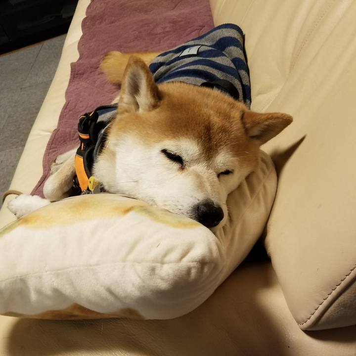 0f57bf86 7df8 49b7 a2ab ce0f46c66cb6 1613291214384