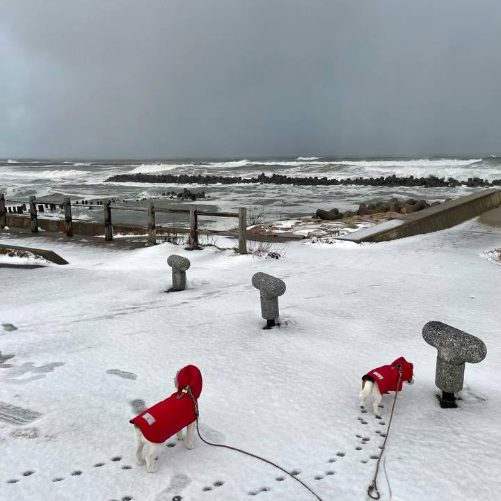 0f57d277 19ef 451f b3cb 6eb67772e58a 1674688310143