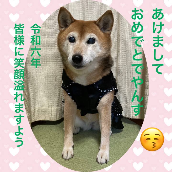 0f57d32d 1b3e 4975 a4c4 c26e12a70396 1704066315098