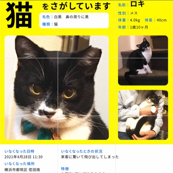 0f57df74 b14e 4d03 bd0c 731fcde9122f 1619776813776