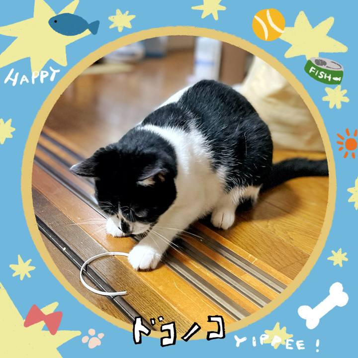 0f5804a1 381a 4fe5 8e2c 3725fb4d5a59 1721084266431