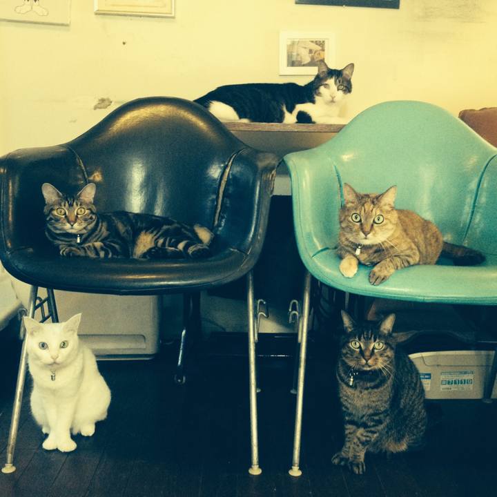 0f580e7b f6a0 45a3 b4f3 6ee29568e5b8 1519306510293