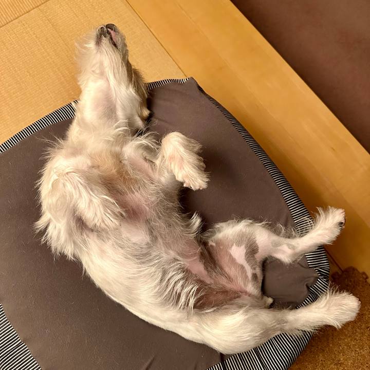 0f58533c 36a9 4bca acdb f92bef18d98e 1702228908694