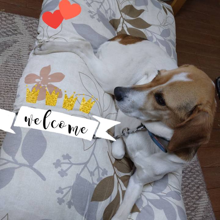 0f588563 059e 41c6 b9b0 e29118ab4c4f 1614232483776