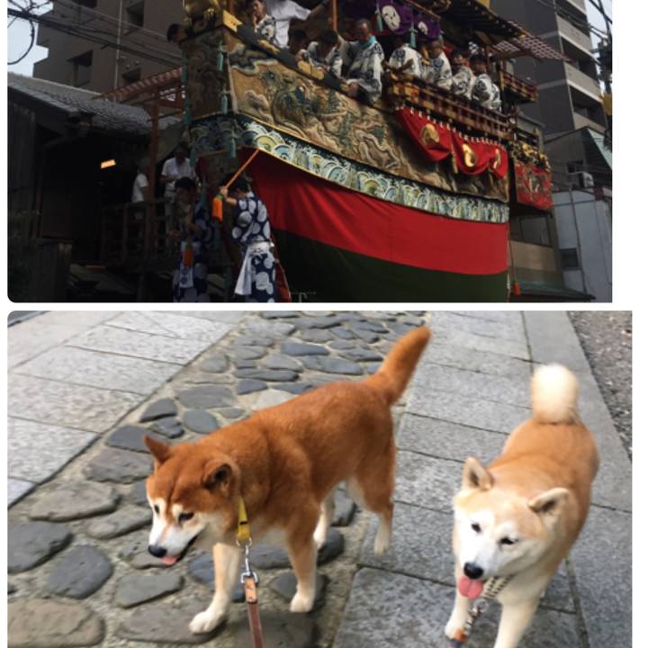 0f589c1d f464 445a 9998 bd99fd8a7094 1531485043858