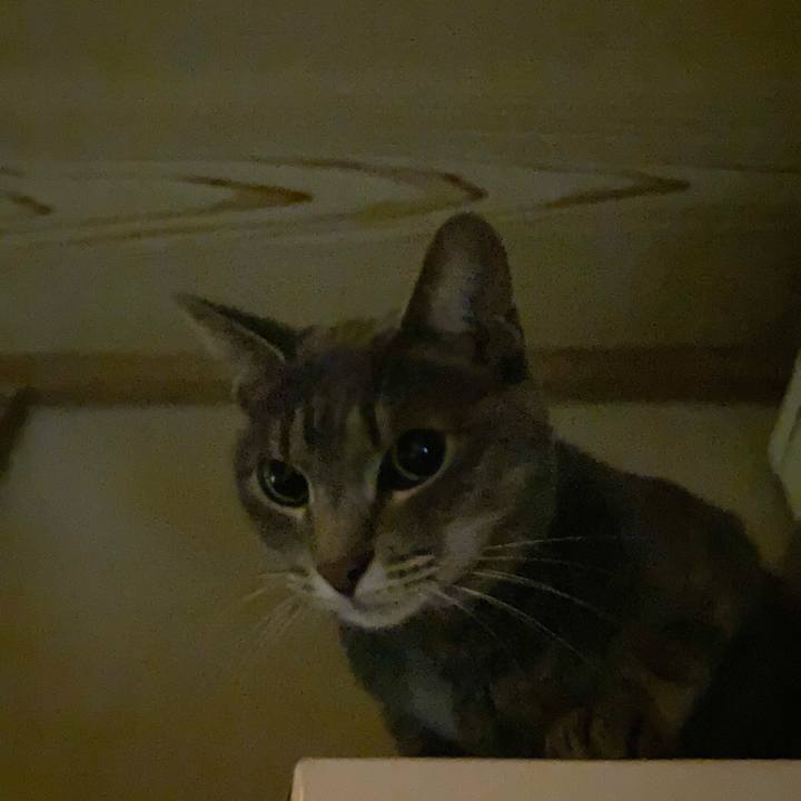 0f58a018 827c 49f2 b8cd 41e50c463193 1600787391260