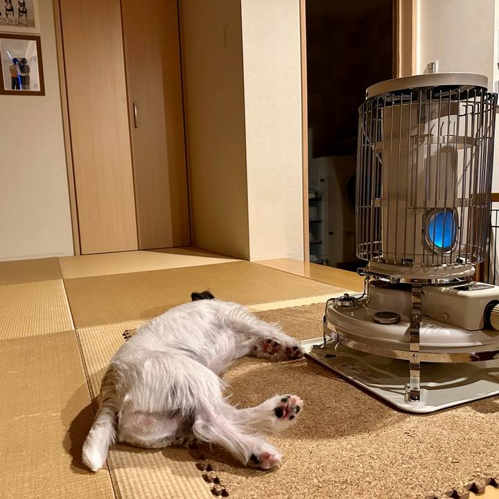 0f58afcb 01b4 4748 81fc a80feec0e095 1700054293560