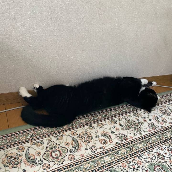 0f58cc26 eda7 451b 948f bdeec06b8409 1690410763552