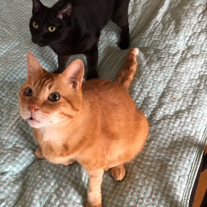 0f58d169 201c 4609 ba5c d9f17edfedca 1691274890650