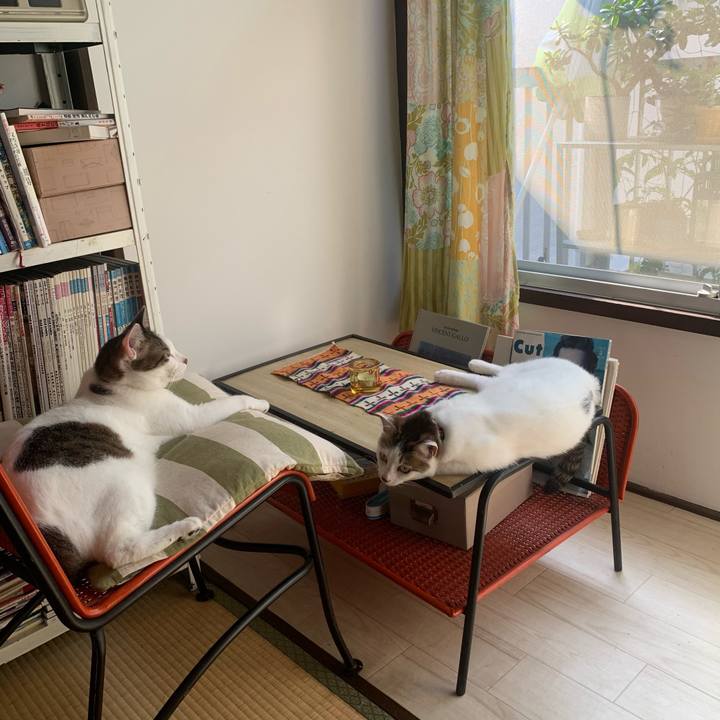 0f58e310 54d0 4c01 90a0 ab106bef0ff3 1656205330169