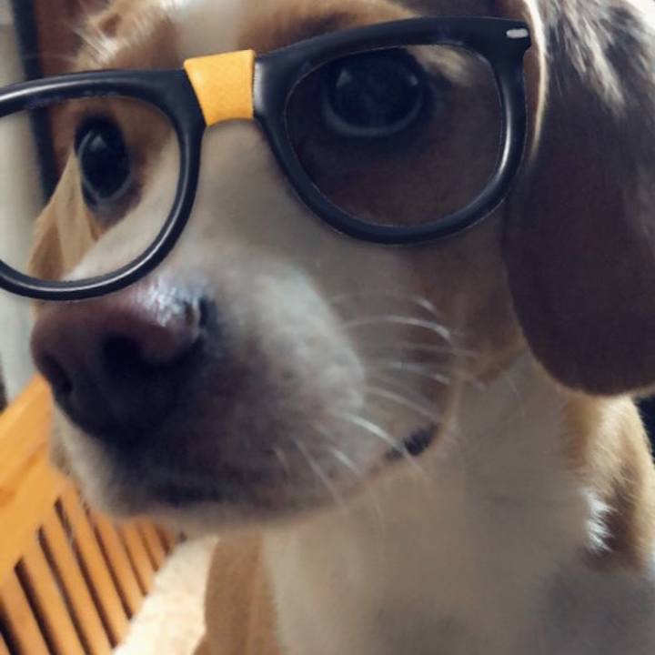 0f590643 11a5 4bc5 b943 fe1e2157182b 1558271469760