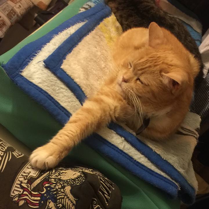 0f595387 7e8f 4023 a7cc 19e861f5d23b 1562595930988