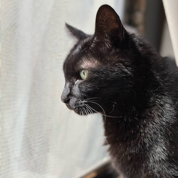 0f597e75 8451 4c89 b9d7 888742068869 1681785069287