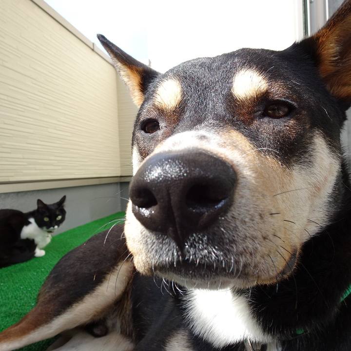 0f5a19eb c115 4f03 bbda c61c7f47499b 1523579310266