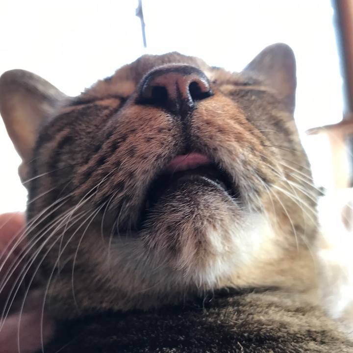 0f5a6d86 0907 4ea5 b94e f79f80543024 1518834287288