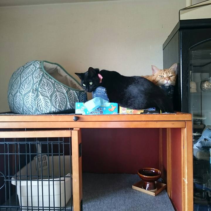 0f5a6fb0 4bd3 4656 b5a8 235e2541002d 1522551546921