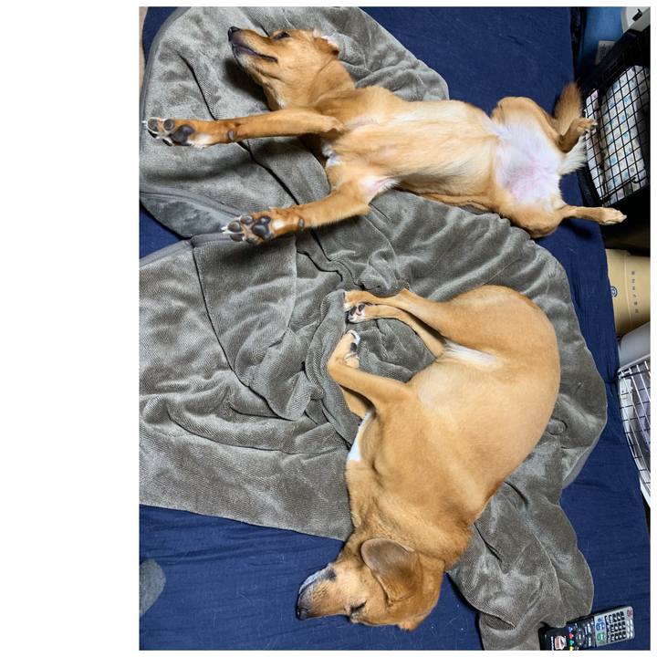 0f5a85a1 da6d 41a3 b57d ee34cee55041 1570962743683