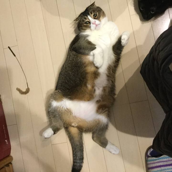 0f5a9e19 110b 47e0 9814 05ab92b9b8a7 1553727246464