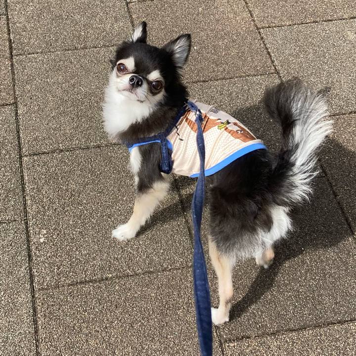 0f5aa76b 77bb 4bf4 816d 7ffdde55ee8d 1684683531479