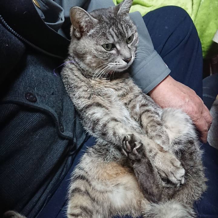 0f5aee16 085d 41cd adf1 d9109c3e426f 1582763689688