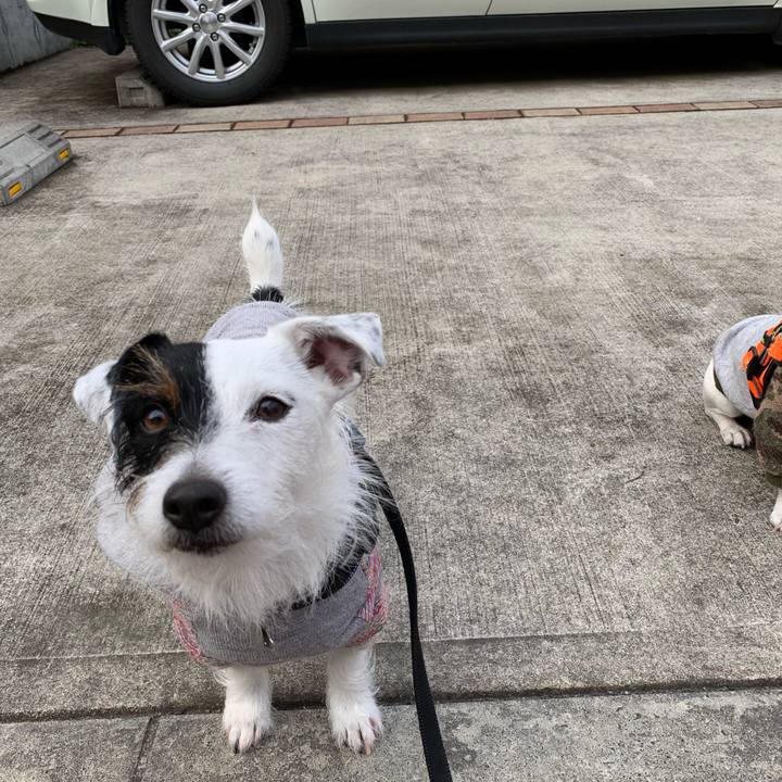 0f5b5e4f d34b 4342 977b ea6ab0a4d607 1551434443188