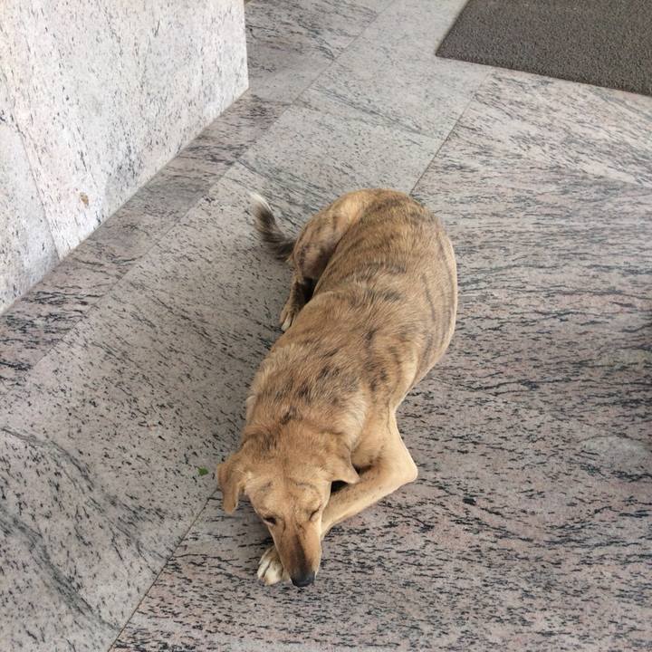 0f5b9613 a363 43ea bd0c be0ca3b661ae 1555852758305