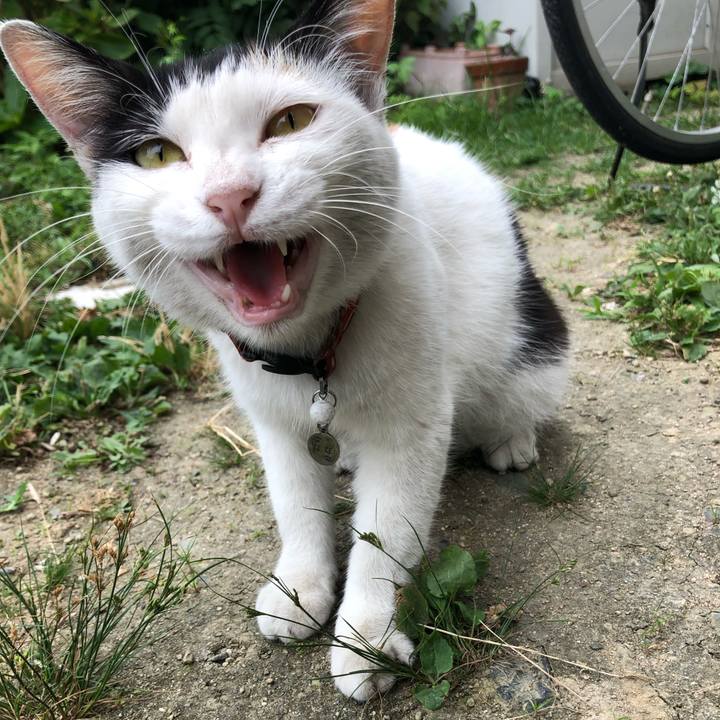 0f5b990d dd2e 4393 b897 6c6e2200b234 1625697524557