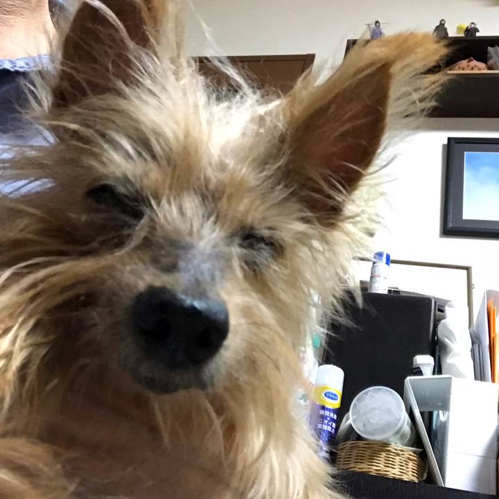 0f5baef5 4238 4d99 bd9f 86bb7b0141c5 1539692607378