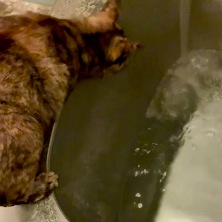 0f5bdf13 cb0a 4c76 aec0 983cc5fc0903 1761167561739