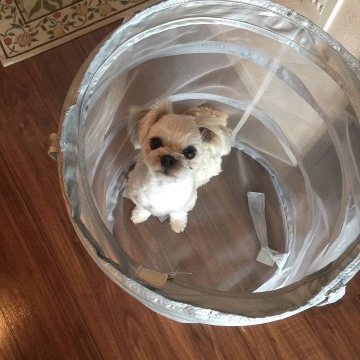 0f5c7523 da7c 4750 ac5a 8e712f9d7604 1520671516951